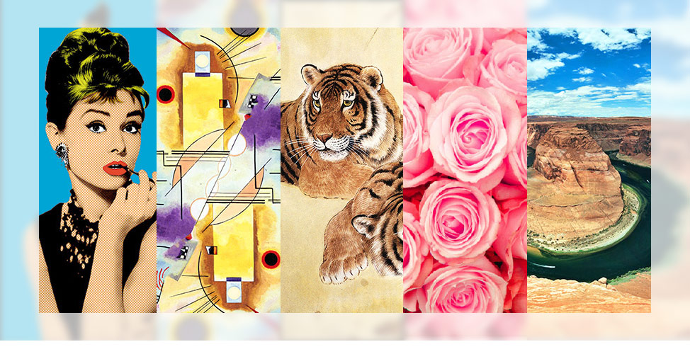 Alcune Foto Artistiche tratte dalla nostra galleria: Fashion, Astratti, Nudi, Fiori, Paesaggi
