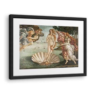 Framed Print 