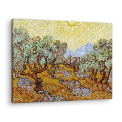 Ulivi - Stampe su Tela