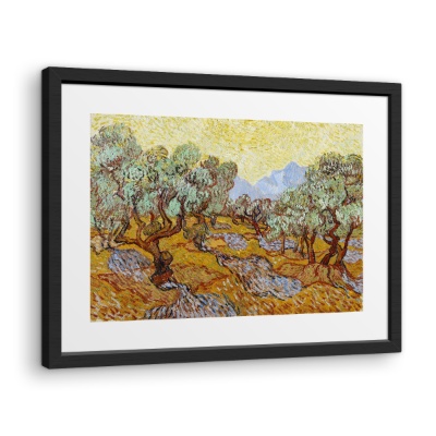 Ulivi - Stampe su Tela