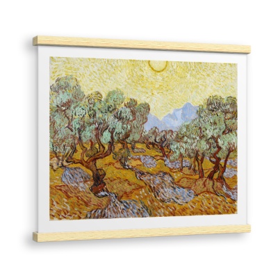 Ulivi - Stampe su Tela