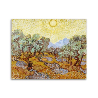 Ulivi - Stampe su Tela